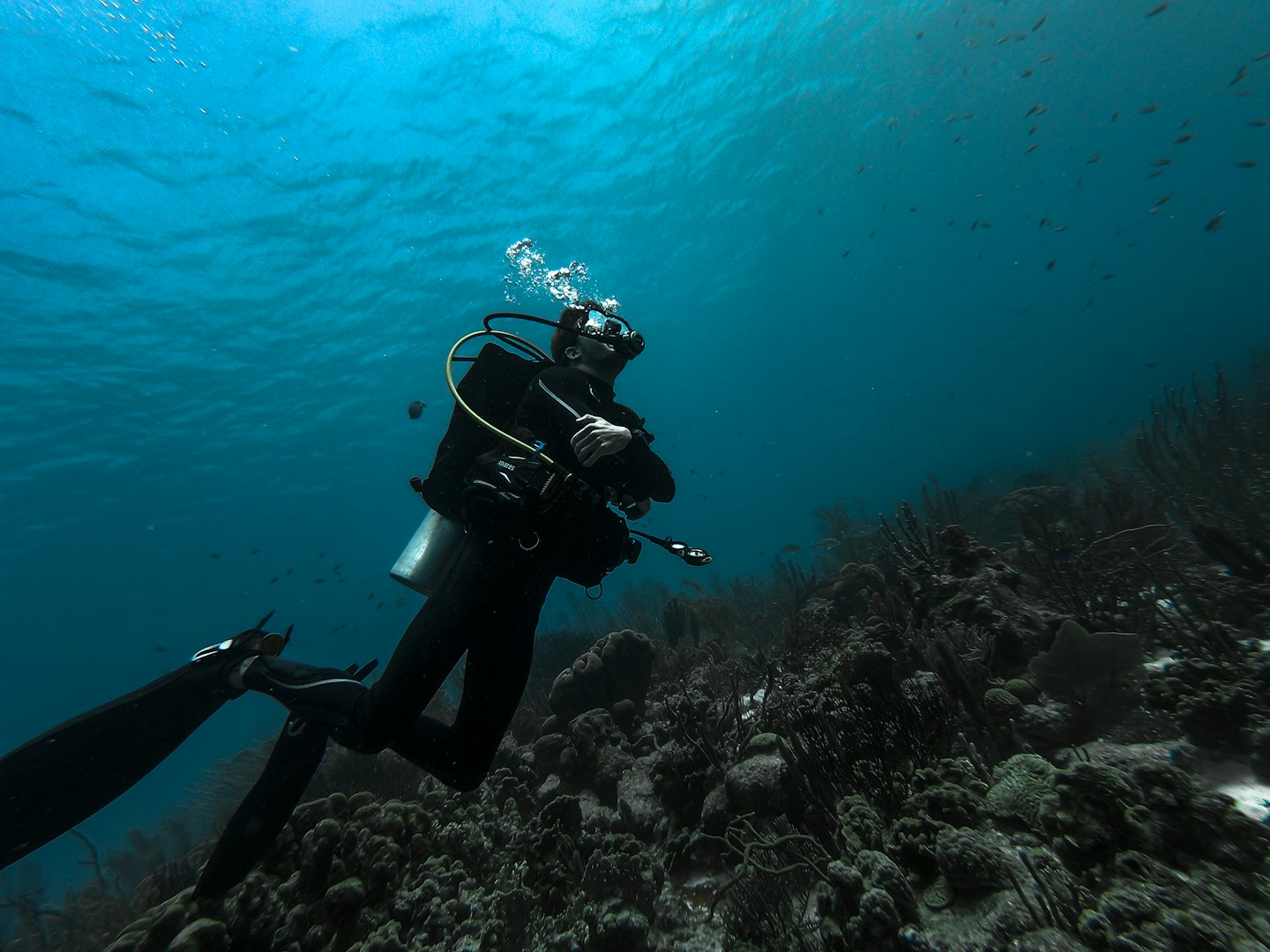 Instructor de SotaCero Diving guiando un curso Open Water en Barcelona Masnou